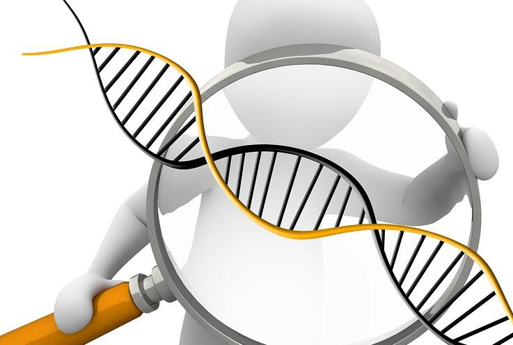 怀孕几个月如何鉴别是谁的孩子[江西省],怀孕亲子鉴定结果准不准确